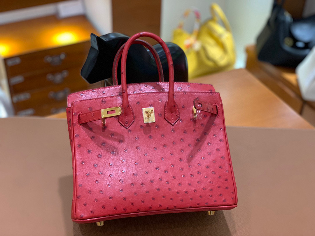 Hermes Birkin 铂金包 25CM  鸵鸟 国旗红 全手工