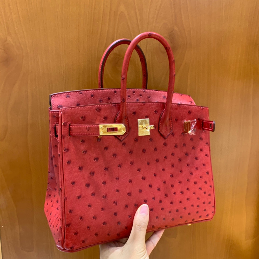 Hermes Birkin 铂金包 25CM  鸵鸟 国旗红 全手工