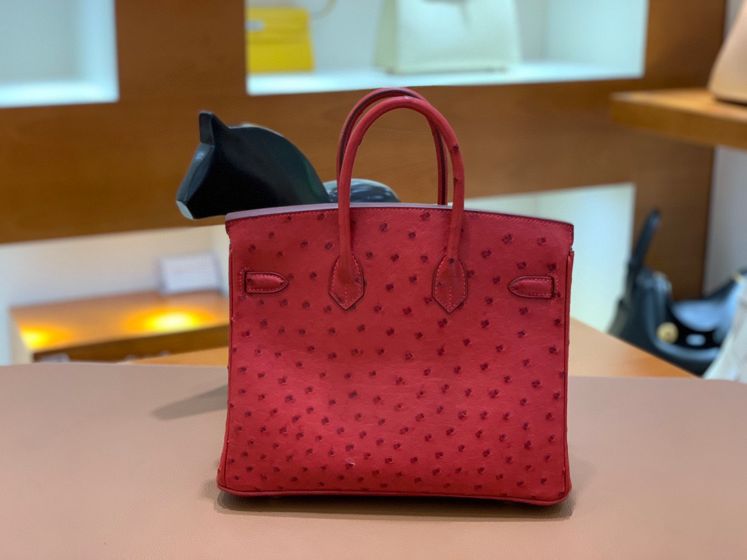 Hermes Birkin 铂金包 25CM  鸵鸟 国旗红 全手工