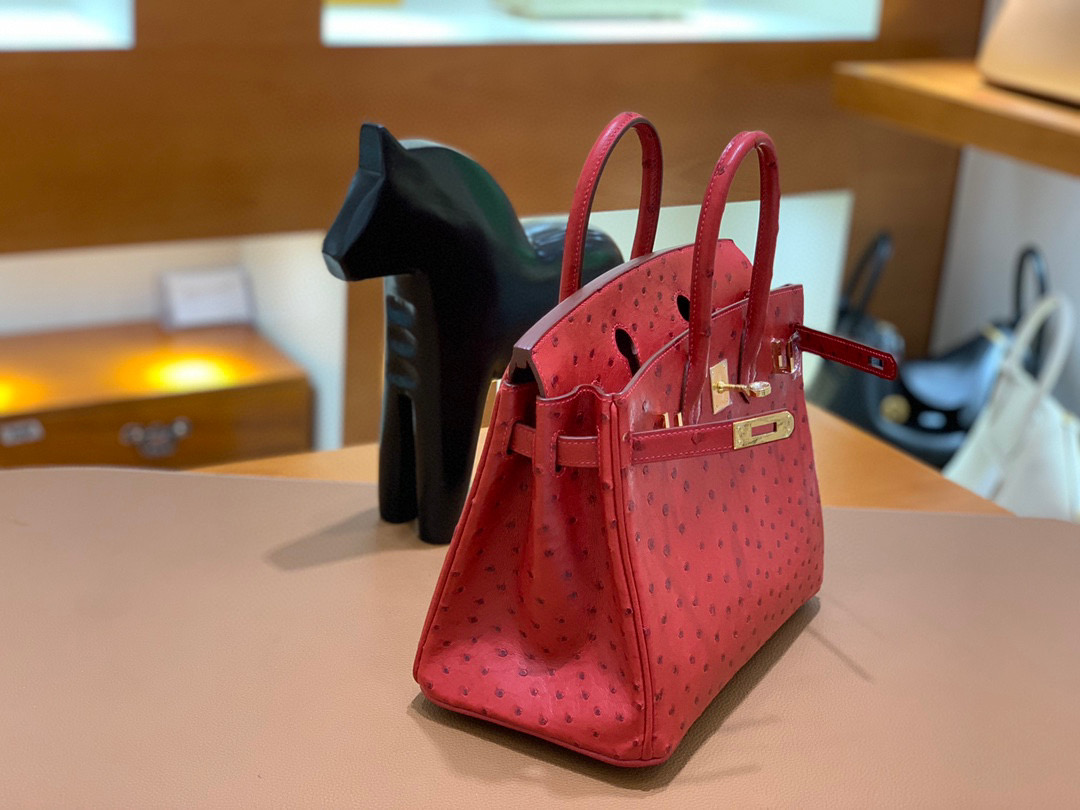 Hermes Birkin 铂金包 25CM  鸵鸟 国旗红 全手工