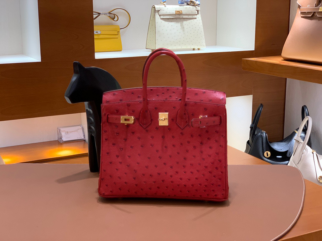 Hermes Birkin 铂金包 25CM  鸵鸟 国旗红 全手工
