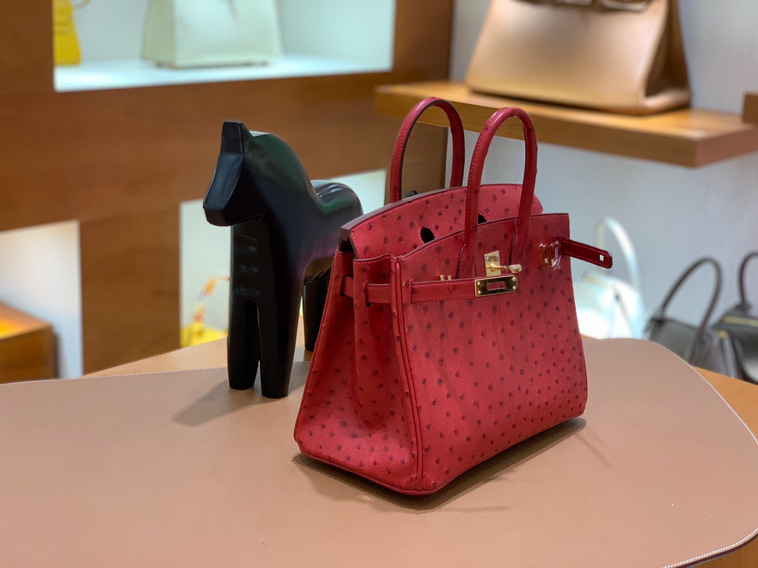 Hermes Birkin 铂金包 25CM  鸵鸟 国旗红 全手工