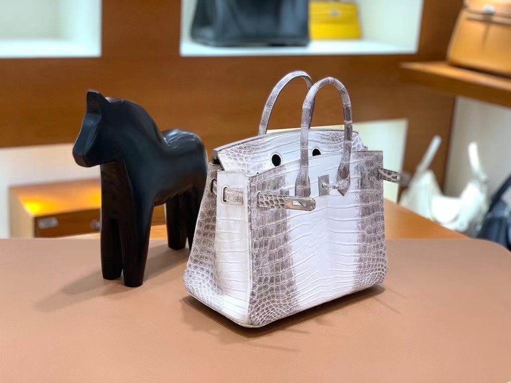 Hermès（爱马仕）Birkin 铂金包 鳄鱼皮 喜马拉雅 银扣 25cm 现货