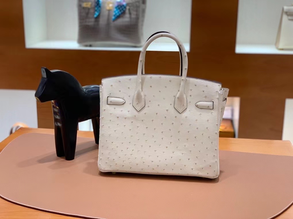 Hermès（爱马仕）Birkin 铂金包 鸵鸟皮 羊毛白 金扣 30cm