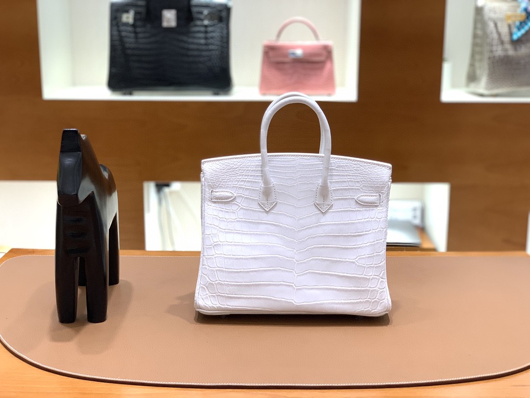 Hermès（爱马仕）Birkin 铂金包 雾面尼罗鳄 纯白 银扣 25cm