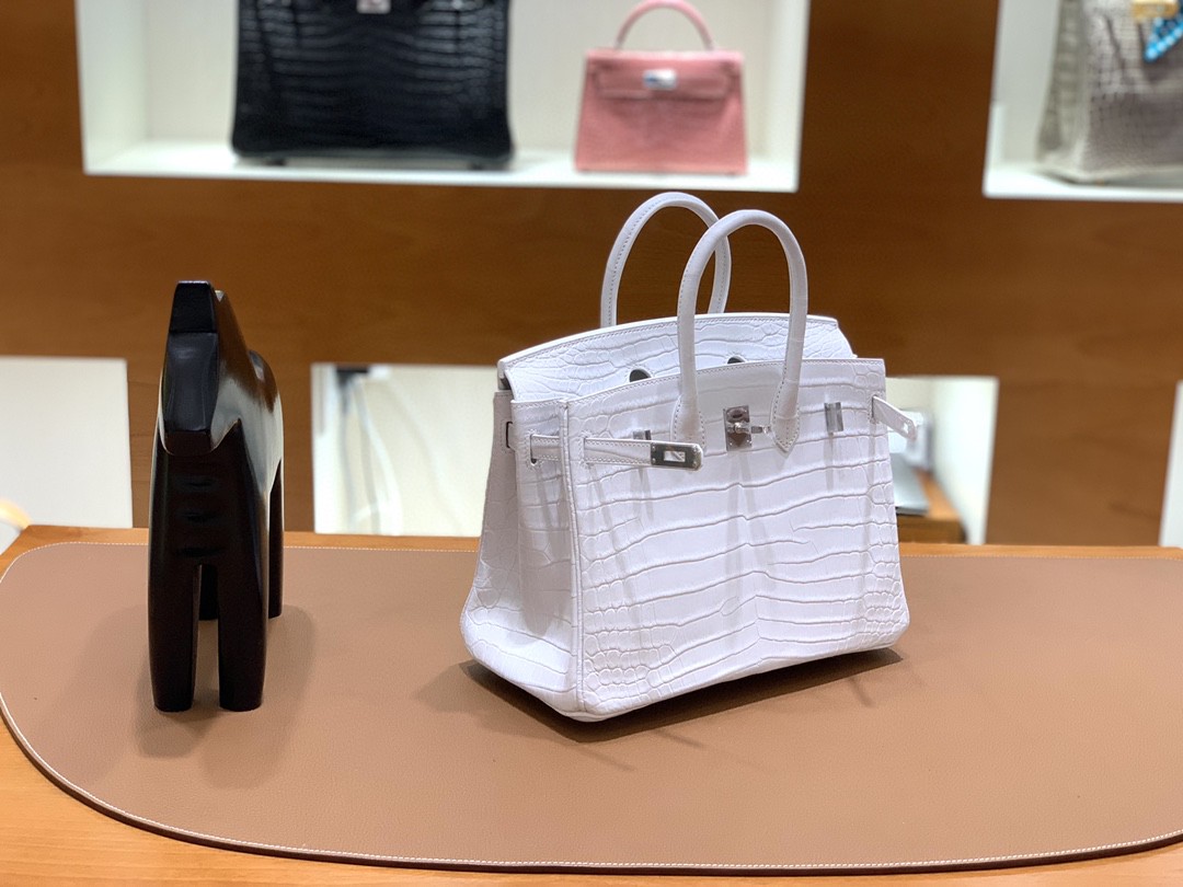 Hermès（爱马仕）Birkin 铂金包 雾面尼罗鳄 纯白 银扣 25cm