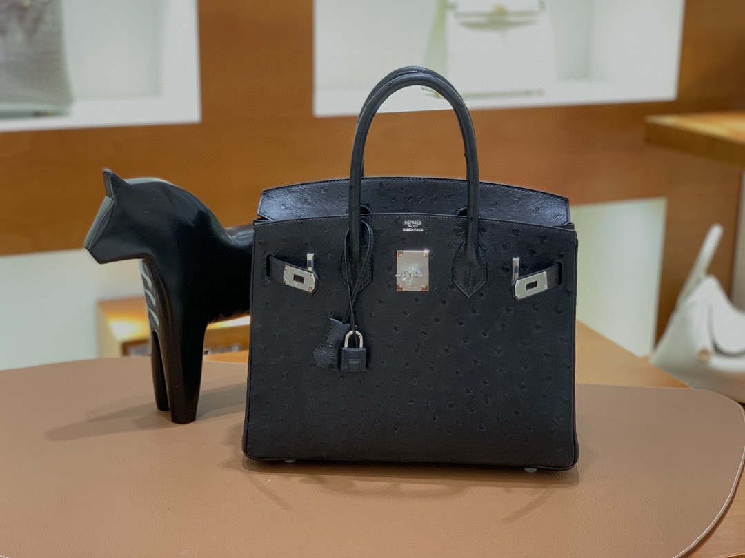 Hermès（爱马仕）Birkin 铂金包 南非鸵鸟皮 黑色 银扣 30cm