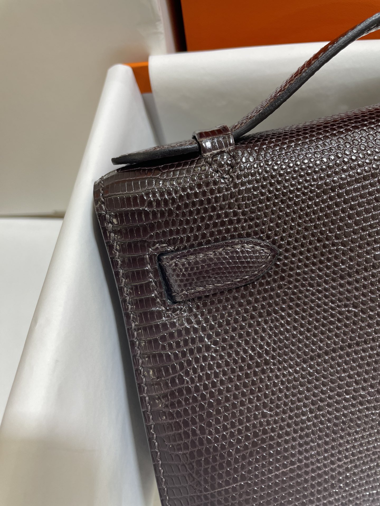 Hermès（爱马仕）Mini Kelly 迷你凯莉 蜥蜴皮 蜥蜴皮色 一代 银扣 22cm