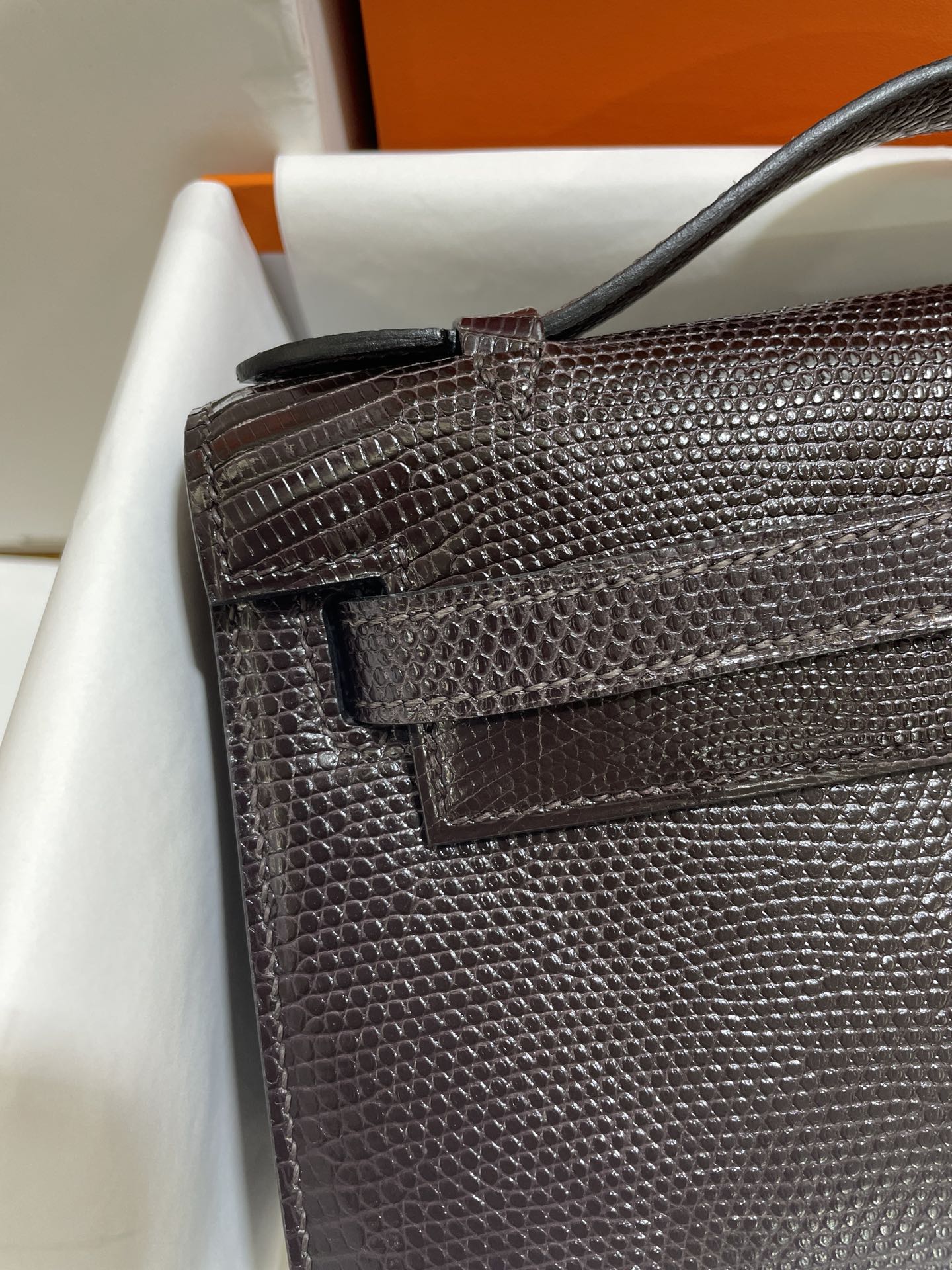 Hermès（爱马仕）Mini Kelly 迷你凯莉 蜥蜴皮 蜥蜴皮色 一代 银扣 22cm